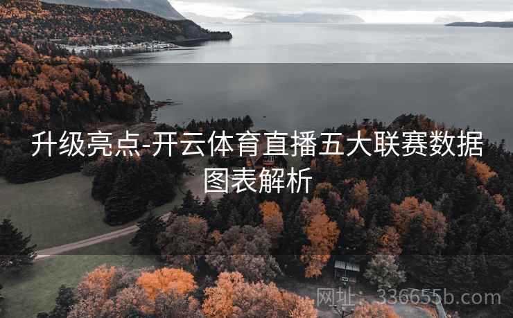 升级亮点-开云体育直播五大联赛数据图表解析